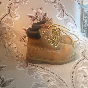 Toddler Timberland boots